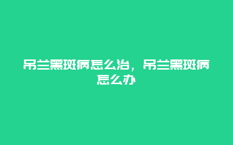 吊兰黑斑病怎么治，吊兰黑斑病怎么办