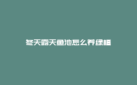 冬天露天鱼池怎么养绿植