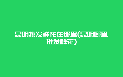 昆明批发鲜花在那里(昆明哪里批发鲜花)