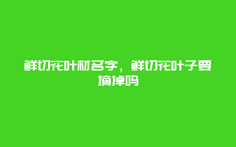 鲜切花叶材名字，鲜切花叶子要摘掉吗