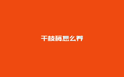 干枝梅怎么养