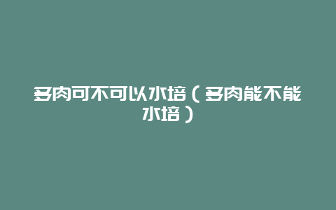 多肉可不可以水培（多肉能不能水培）