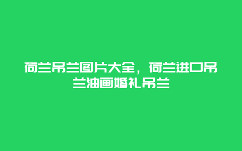 荷兰吊兰图片大全，荷兰进口吊兰油画婚礼吊兰