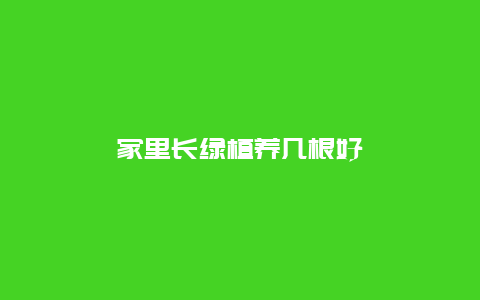 家里长绿植养几根好