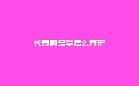 长寿梅冬季怎么养护