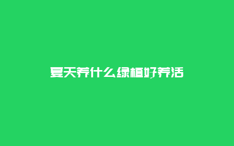 夏天养什么绿植好养活