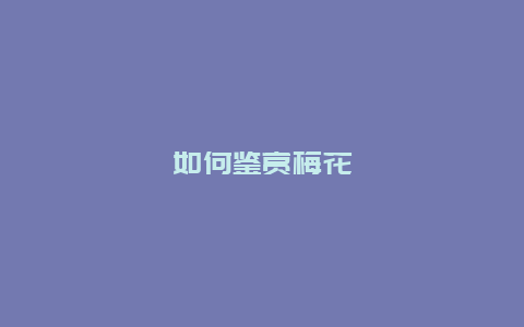 如何鉴赏梅花