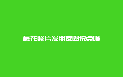 梅花照片发朋友圈说点啥