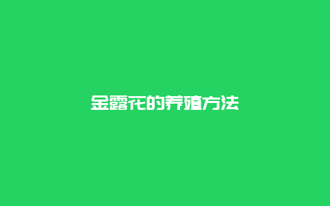 金露花的养殖方法