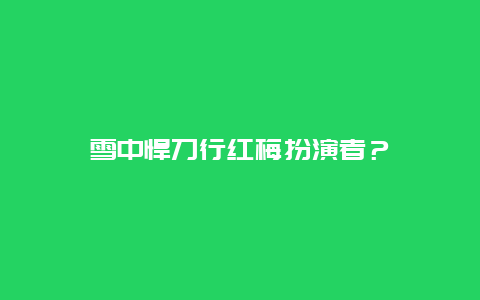 雪中悍刀行红梅扮演者？