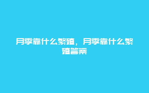 月季靠什么繁殖，月季靠什么繁殖答案