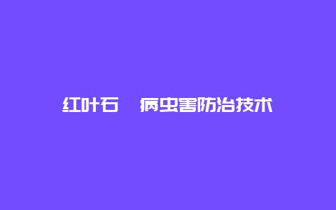 红叶石楠病虫害防治技术