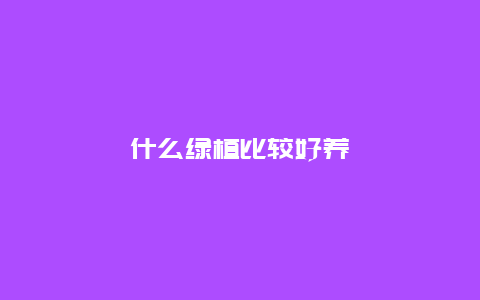 什么绿植比较好养