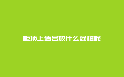 柜顶上适合放什么绿植呢