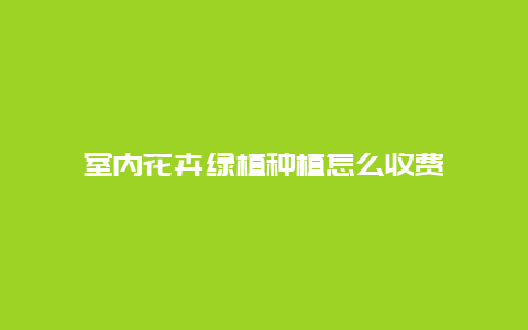 室内花卉绿植种植怎么收费