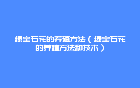 绿宝石花的养殖方法（绿宝石花的养殖方法和技术）