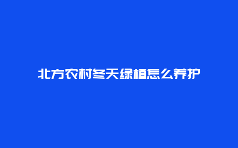 北方农村冬天绿植怎么养护