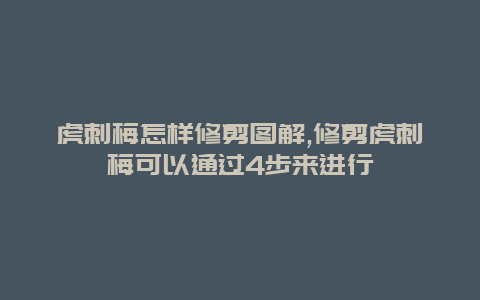 虎刺梅怎样修剪图解,修剪虎刺梅可以通过4步来进行