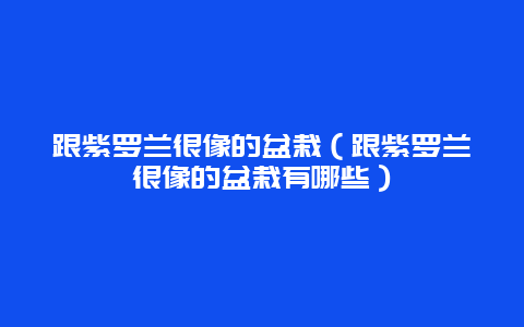 跟紫罗兰很像的盆栽（跟紫罗兰很像的盆栽有哪些）