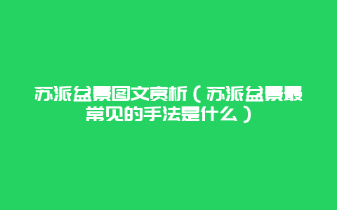 苏派盆景图文赏析（苏派盆景最常见的手法是什么）