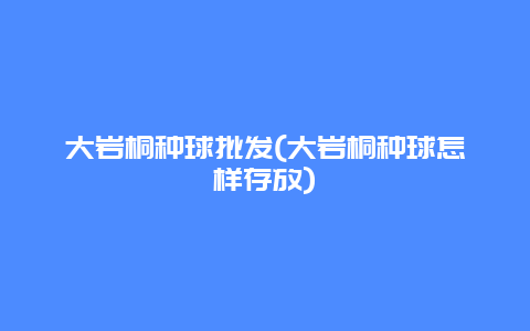 大岩桐种球批发(大岩桐种球怎样存放)