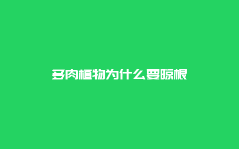 多肉植物为什么要晾根