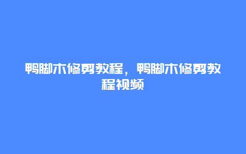 鸭脚木修剪教程，鸭脚木修剪教程视频