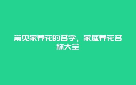 常见家养花的名字，家庭养花名称大全