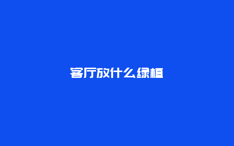 客厅放什么绿植