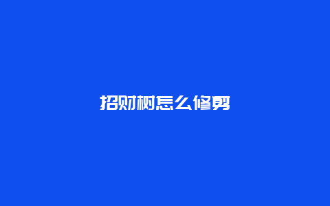 招财树怎么修剪