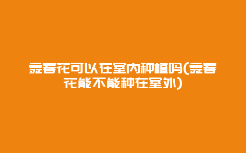 舞春花可以在室内种植吗(舞春花能不能种在室外)