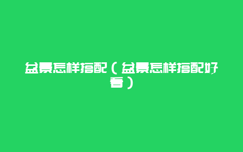 盆景怎样搭配（盆景怎样搭配好看）