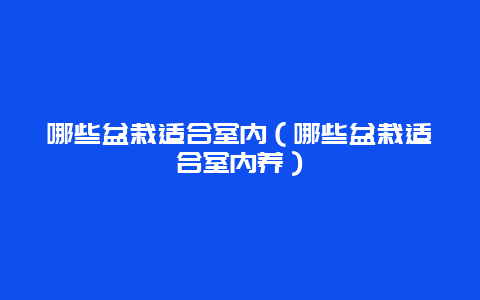 哪些盆栽适合室内（哪些盆栽适合室内养）