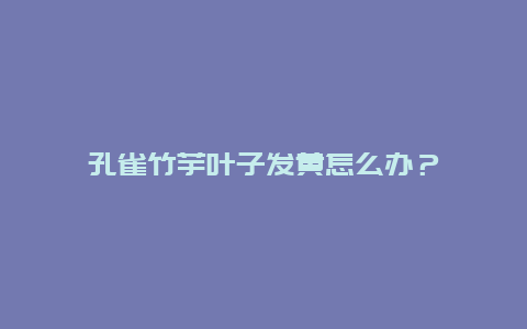 孔雀竹芋叶子发黄怎么办？