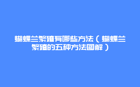 蝴蝶兰繁殖有哪些方法（蝴蝶兰繁殖的五种方法图解）