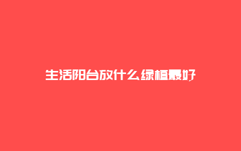 生活阳台放什么绿植最好