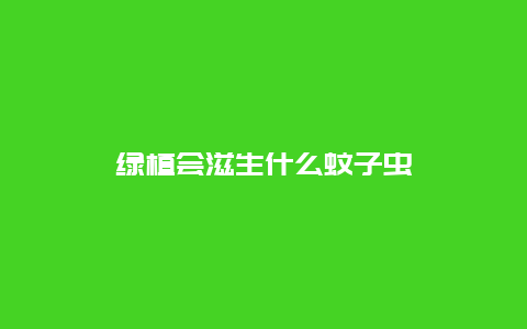 绿植会滋生什么蚊子虫