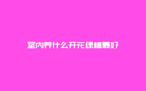 室内养什么开花绿植最好