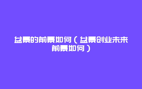 盆景的前景如何（盆景创业未来前景如何）