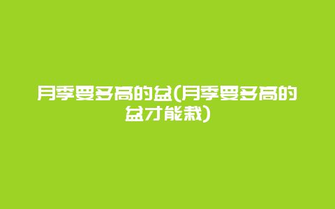 月季要多高的盆(月季要多高的盆才能栽)