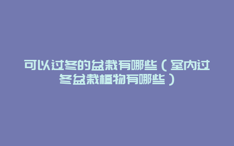 可以过冬的盆栽有哪些（室内过冬盆栽植物有哪些）