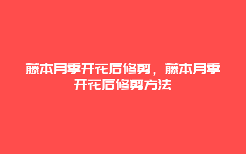 藤本月季开花后修剪，藤本月季开花后修剪方法