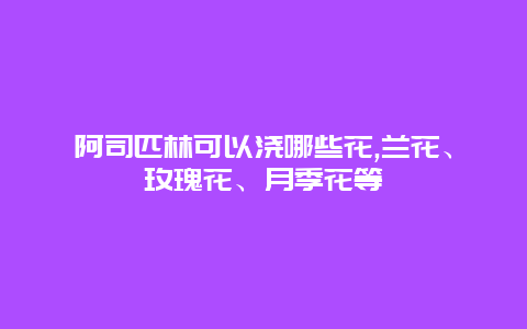 阿司匹林可以浇哪些花,兰花、玫瑰花、月季花等