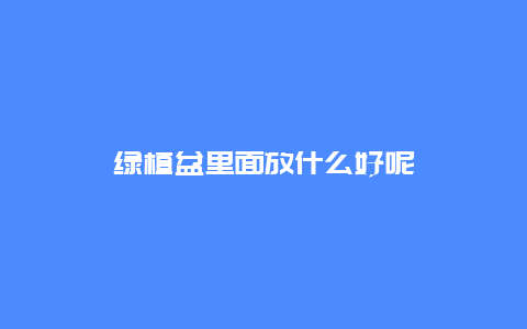 绿植盆里面放什么好呢