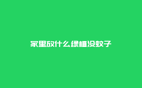 家里放什么绿植没蚊子