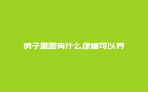 房子里面有什么绿植可以养