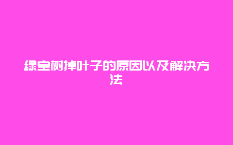 绿宝树掉叶子的原因以及解决方法