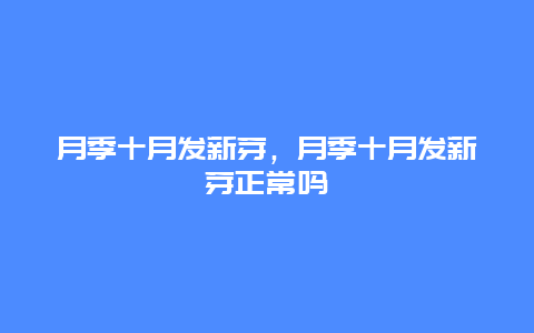 月季十月发新芽，月季十月发新芽正常吗