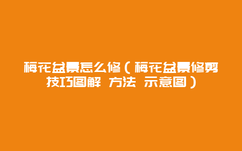 梅花盆景怎么修（梅花盆景修剪技巧图解 方法 示意图）