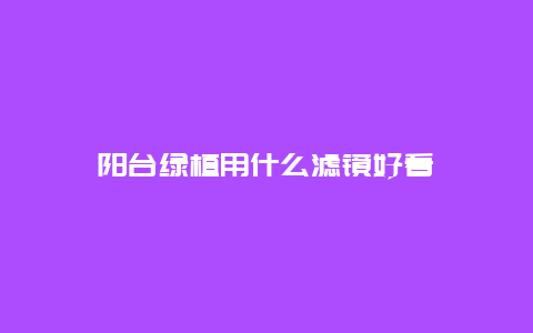 阳台绿植用什么滤镜好看